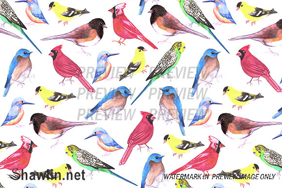 Colorful Watercolor Birds Backgrounds